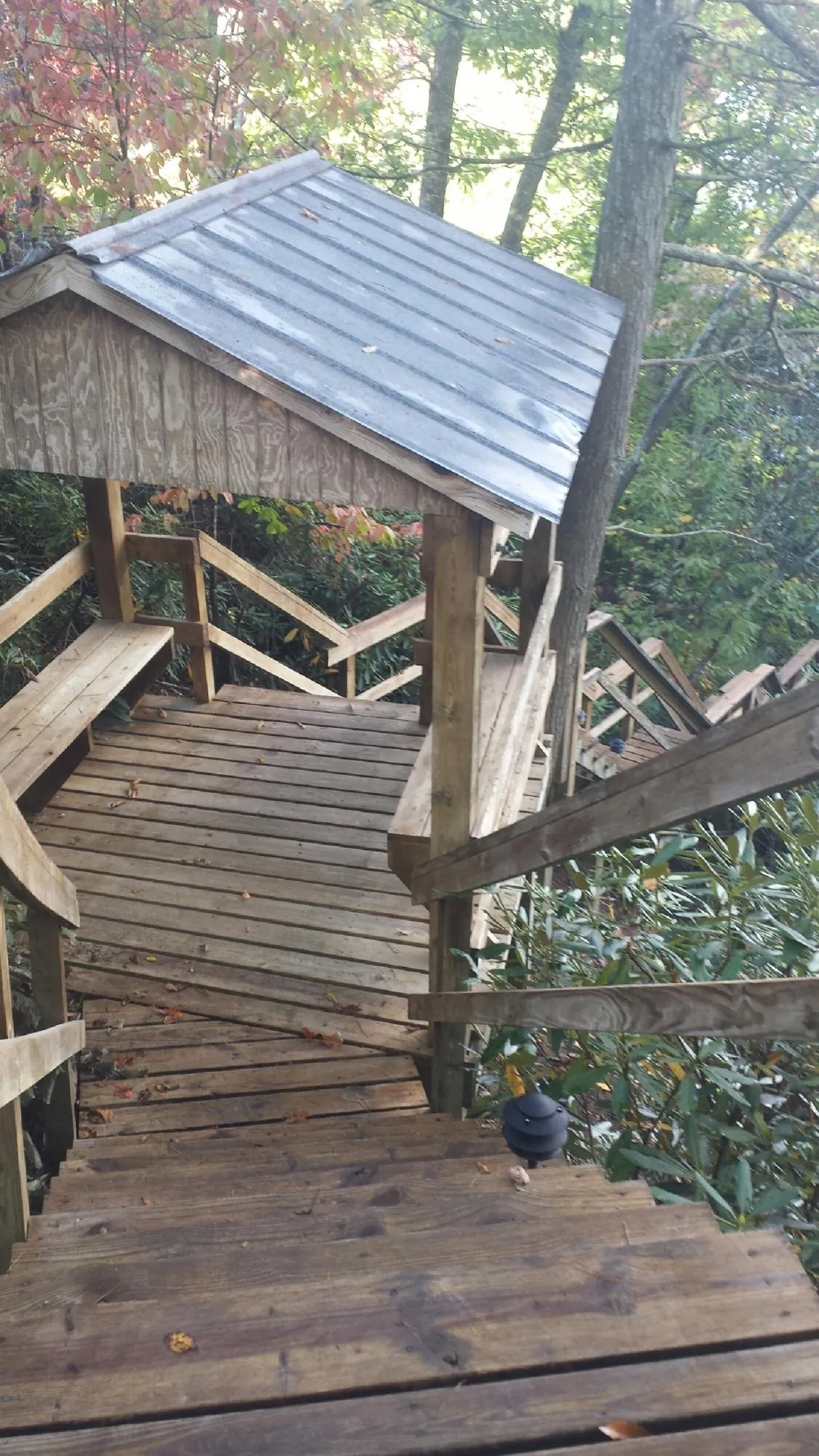 Metal roofed shelter over wooden steps on a wooded walkway — Skylight Repair & Installation work by our crew in Cordova